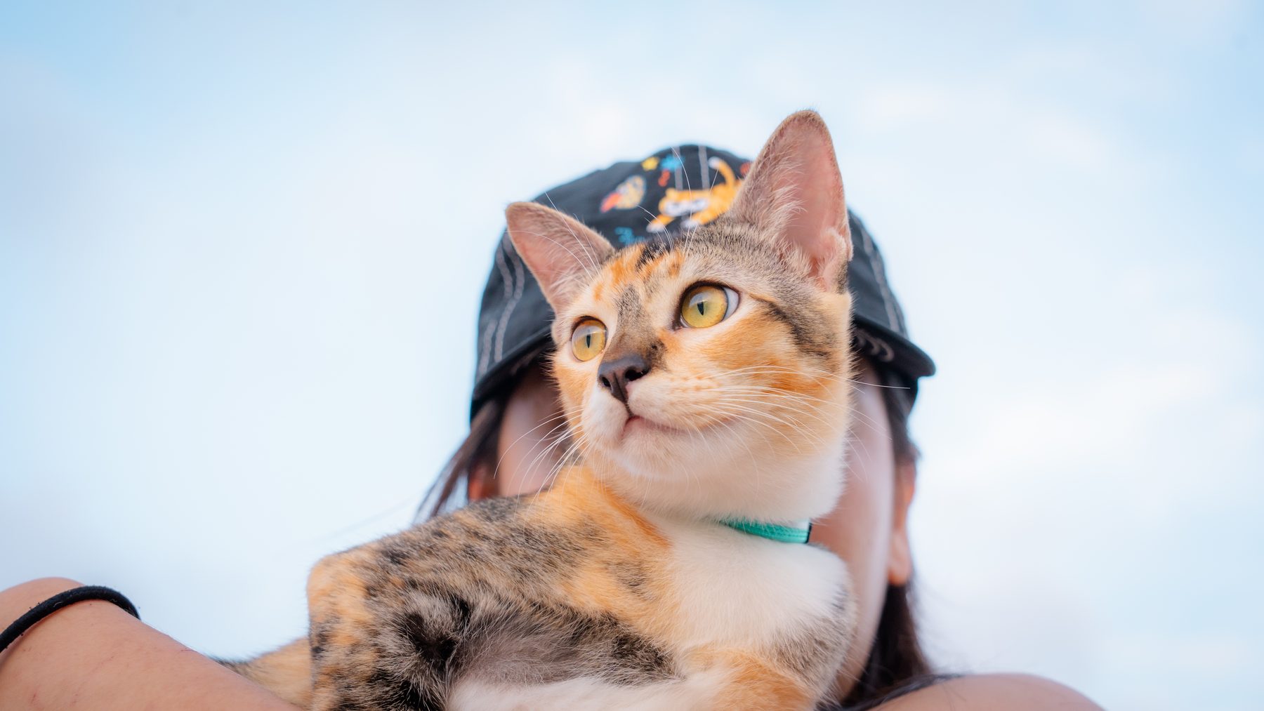 Portrait shoot with a pet